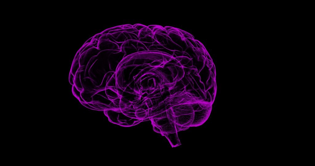 Scanned image of human brain in purple on black background